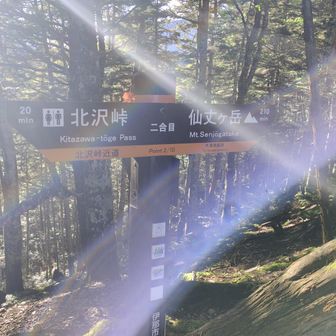 テン泊する予定だった長衛小屋からの合流地点