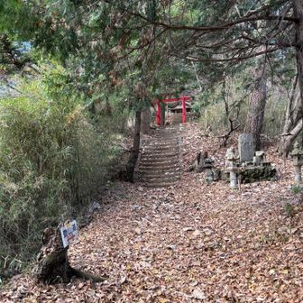 赤い鳥居が見えてきたら