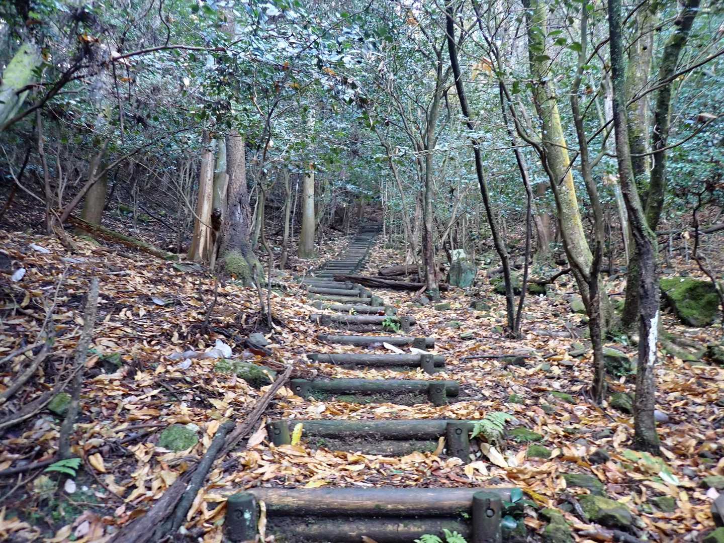 
長い木段