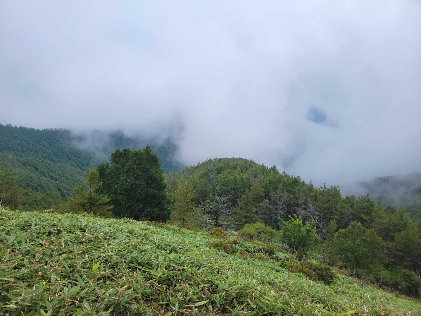鉢伏山-前鉢伏山 周回コースの写真