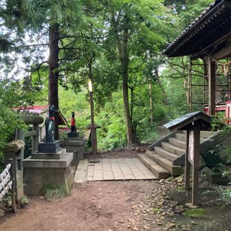 明るい内に下山しないと…

栗🌰を発見出来なくなる　笑