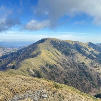 タローさん綺麗