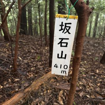 本日、最初のピーク・坂石山