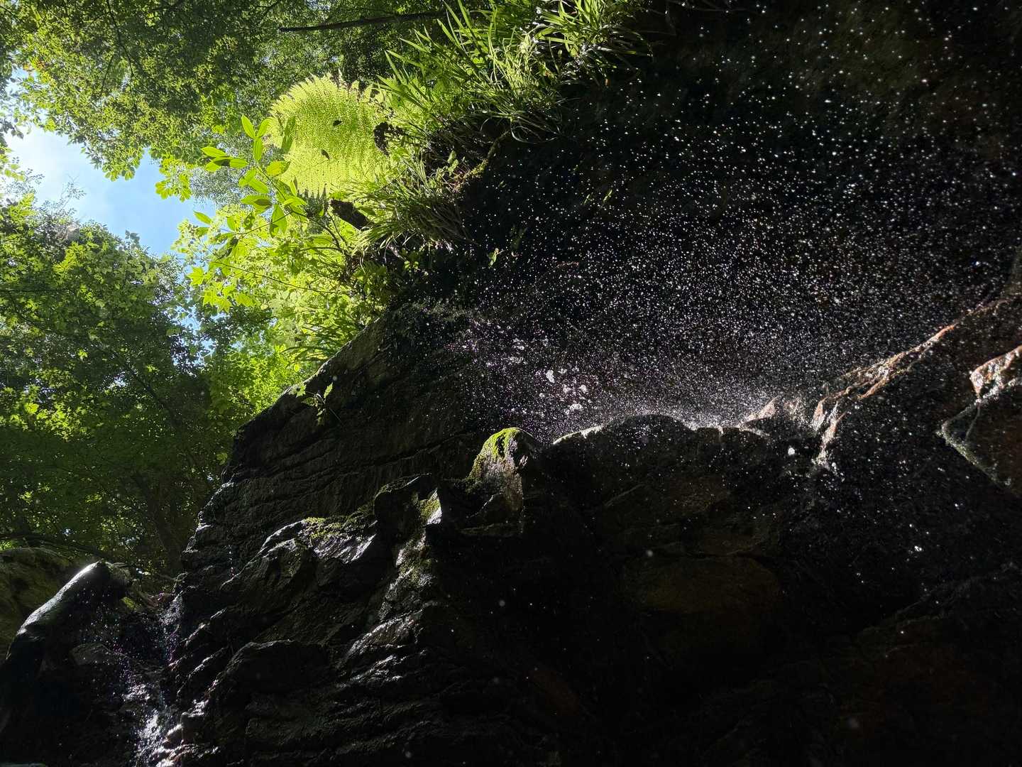 小滝を浴びながら空を見上げると幸せな光が✨