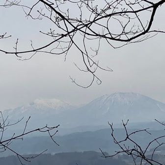 箱山峠から箱山の登山道に乗ったよー！うっすら黒姫山と左に高妻山。ここでなんと登山道を降りてくる若者とスライドにびっくり❗️