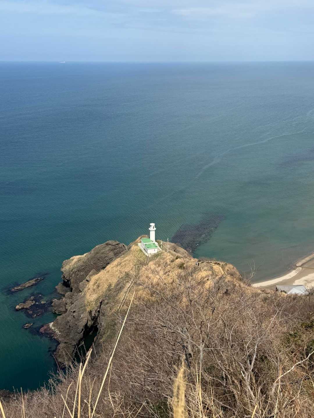 角田山桜尾根 | 雪割草・カタクリの花道から登り、日本海と灯台を望んで下る周回の写真