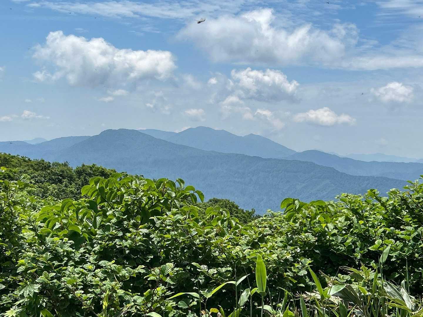 能郷白山