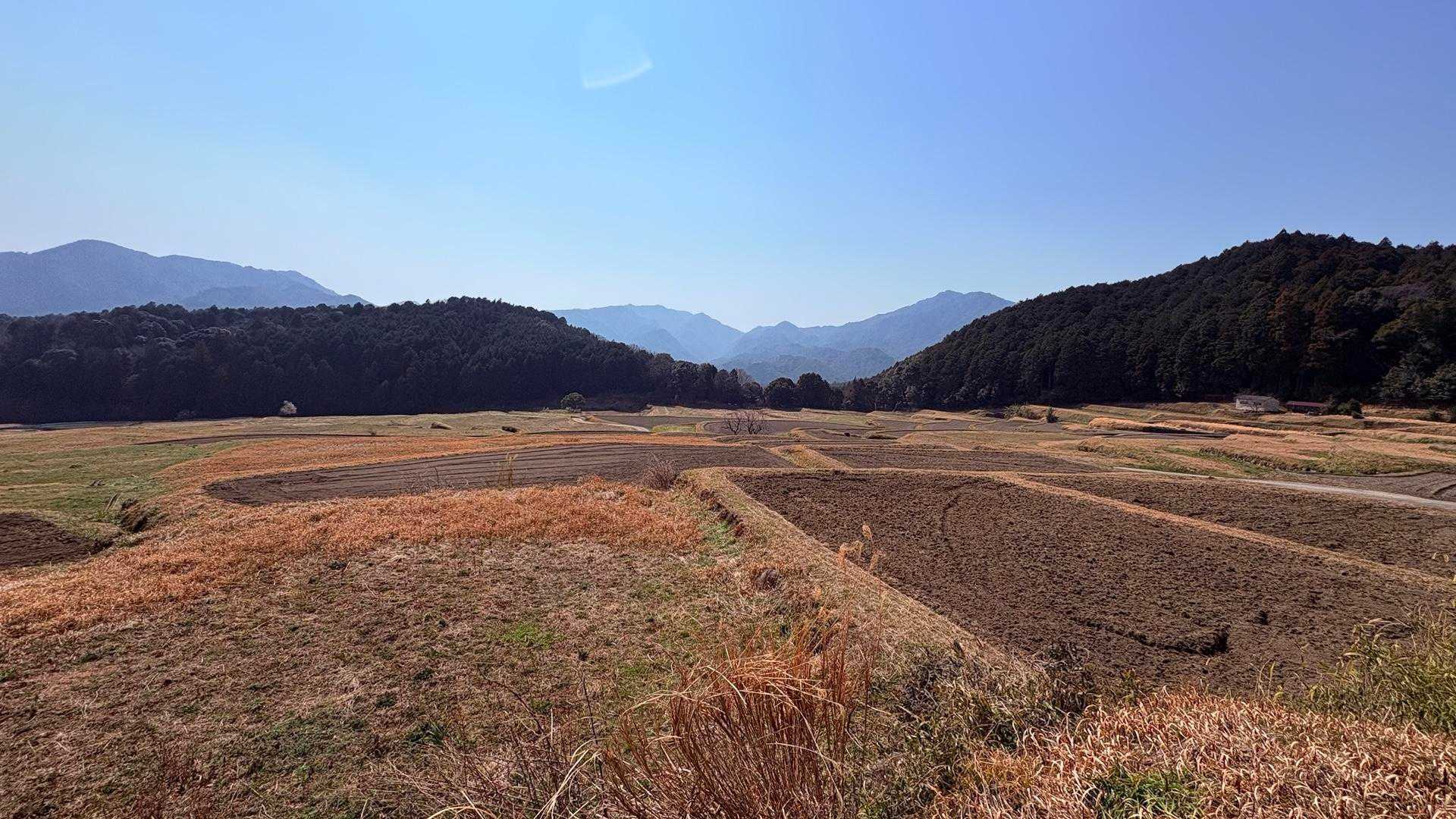 山降りてきました
わかりにくいけど棚田！日本棚田100選らしい