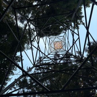 どこからでも見えるやつ💡
何ワットなんだろう🧐