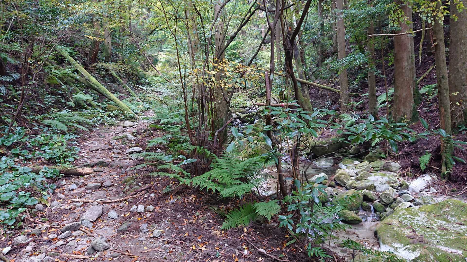 川沿いを行きます