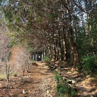 さて、多度大社を後にして
健脚コースから登ります

もうキツイ💧💧💧
正月の自堕落なツケがまわってきた🎍✋