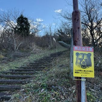 熊頻出とききましたので熊スプレー熊鈴携行します🫡
この猿倉山への階段は460段だそう。
初っ端から太ももしごかれるー笑