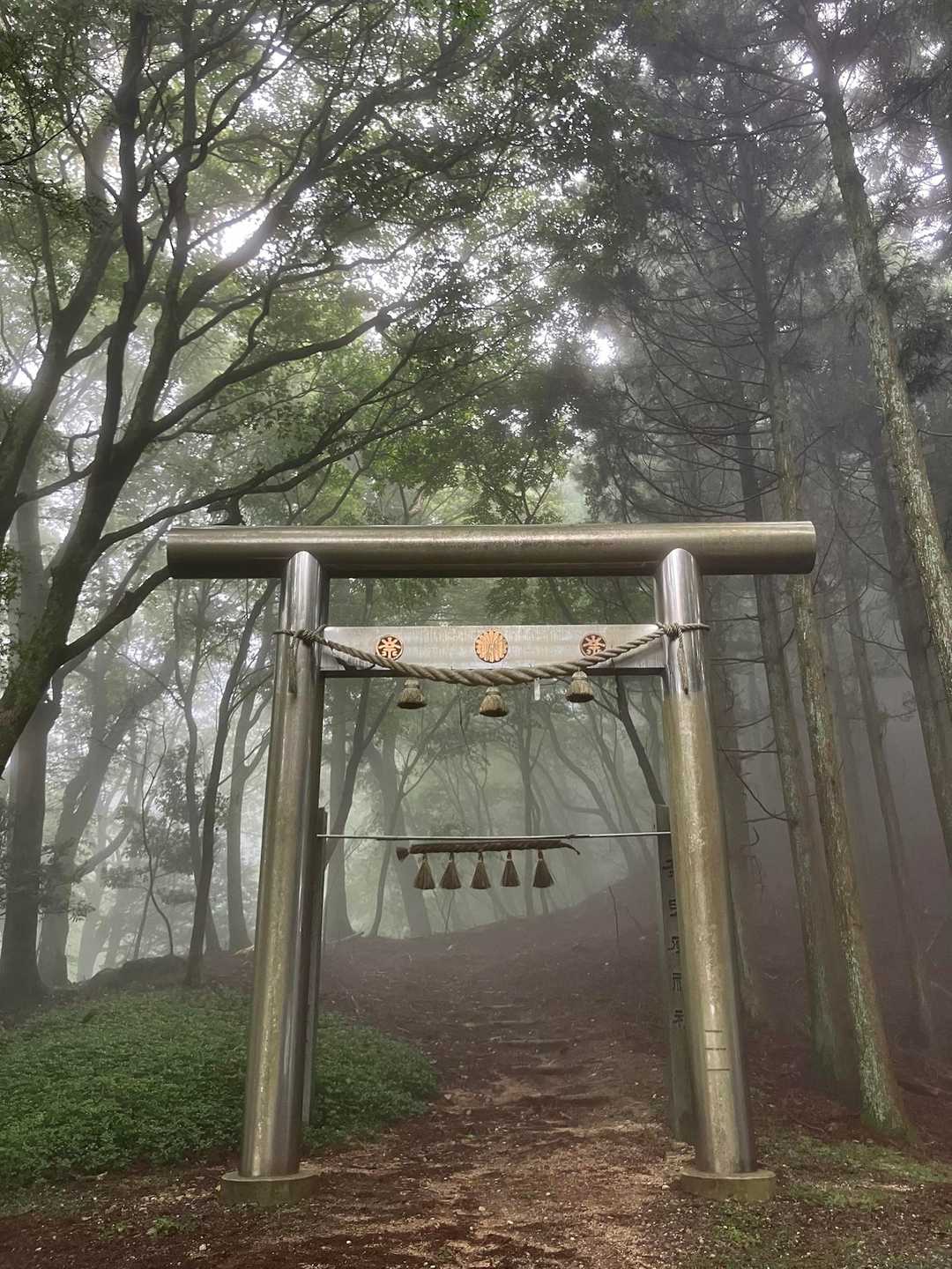 神域の中へ

失礼します