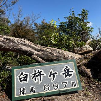 臼杵ヶ岳とーちょー🙌

ここまで誰とも会わず😅
ここでやっと第1登山者さんお1人
下山する時にランの方お2人とすれ違っただけ
でした🤣
