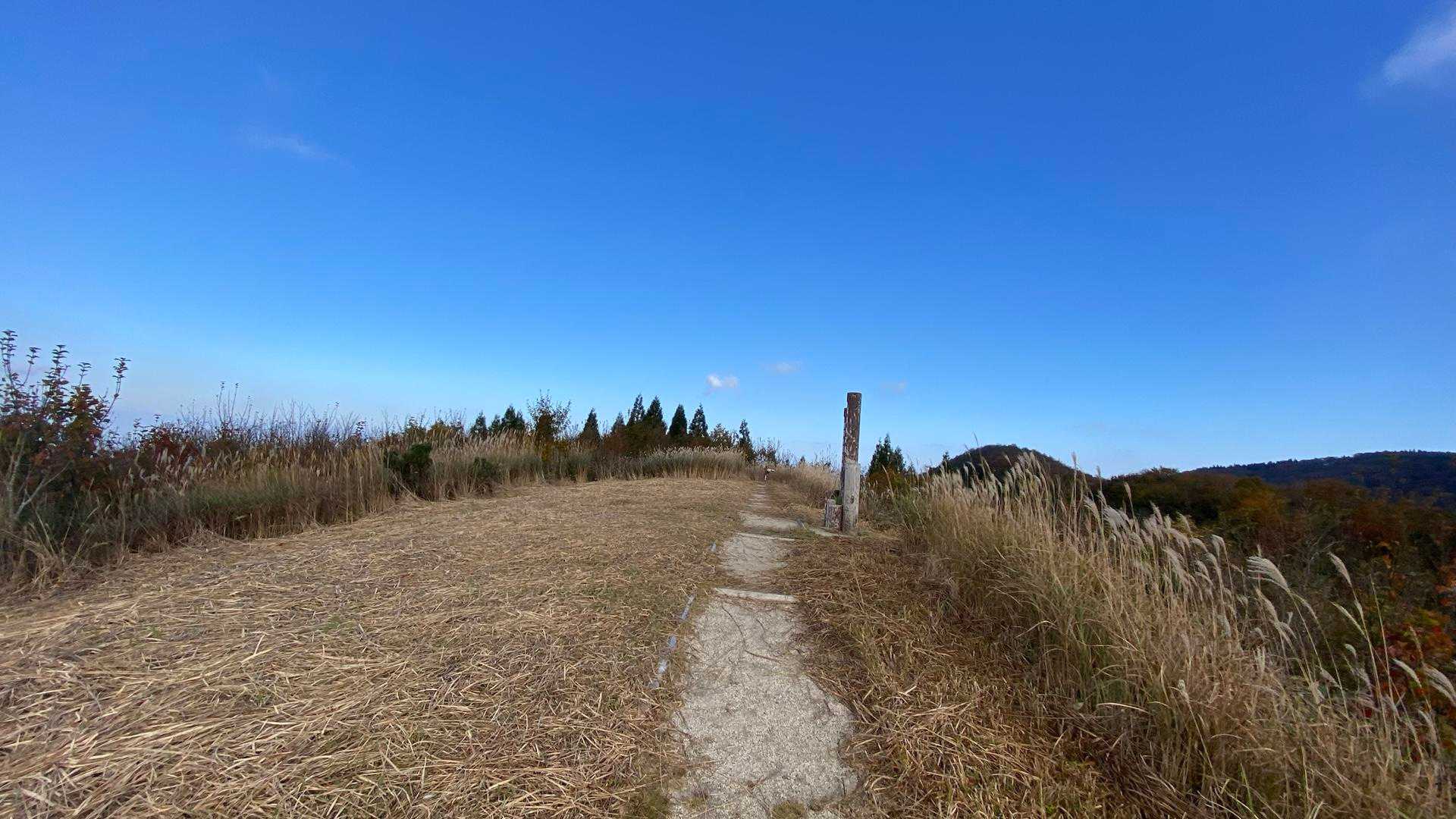 高清水高原

もう少し歩くことに・・・