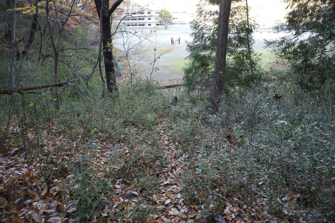 草で隠れているけれど、白い柵の横から上がる。が正解。
が、ちょっと行き過ぎて遠回りする。