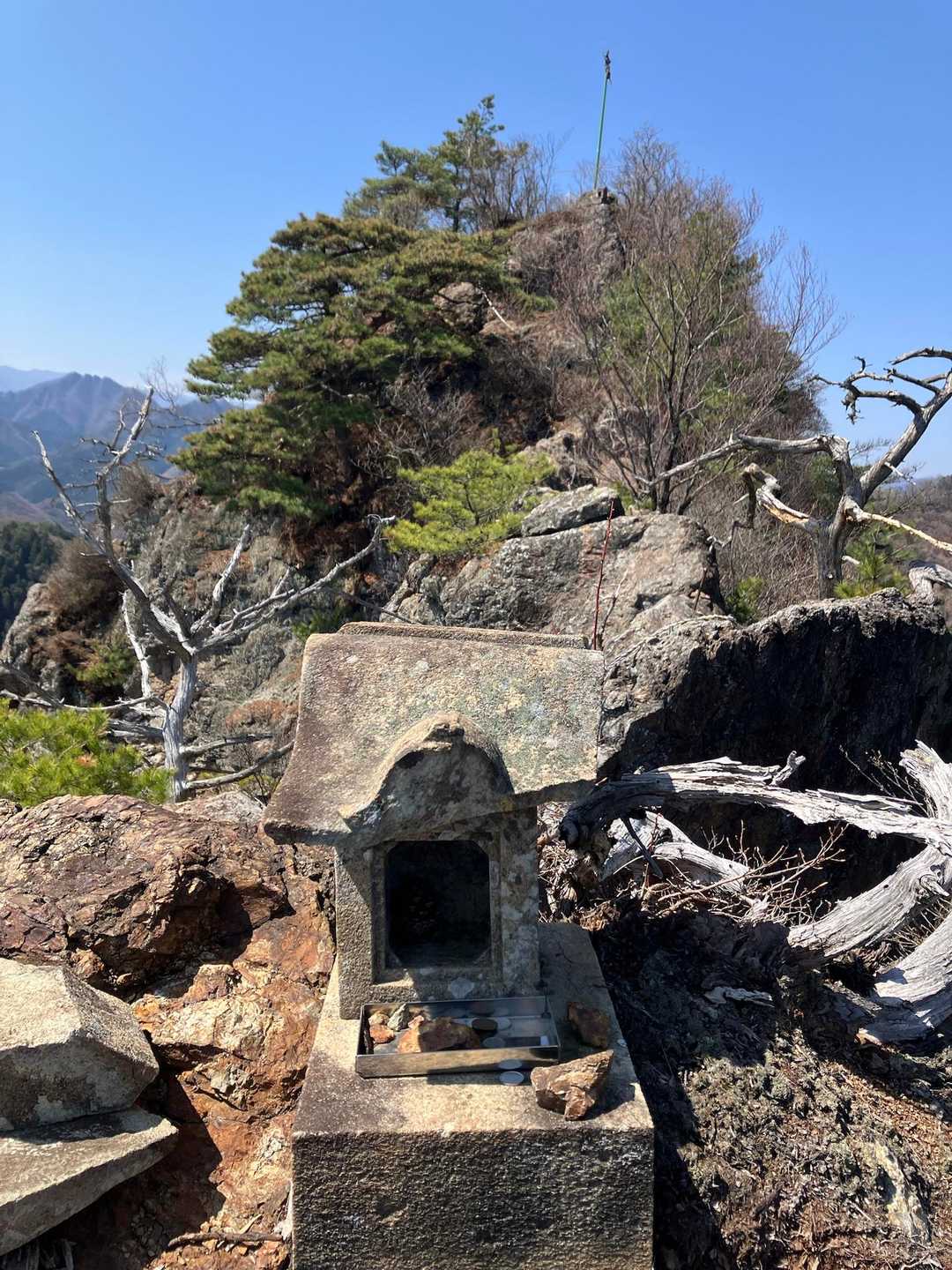 山頂が見えてきました。