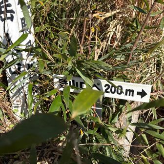 藪で見えなかったが、
まだ先に登山口があるようだ