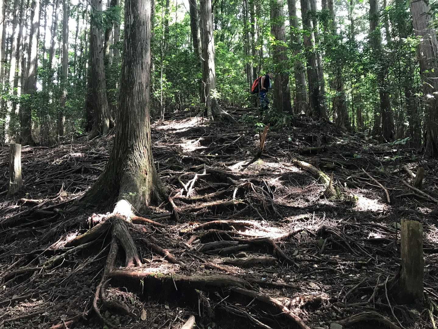 ずっと登り。暑い😵
