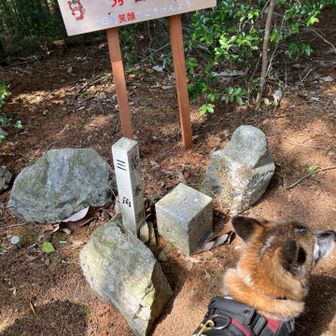 二等三角点発見
「秀吉山」にて