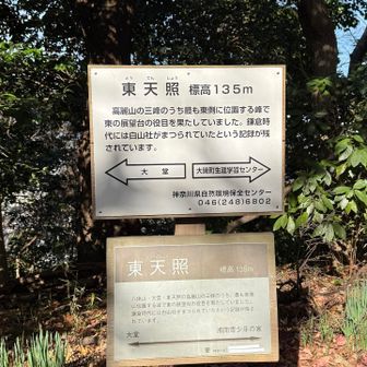 大磯丘陵最東端の東天照。