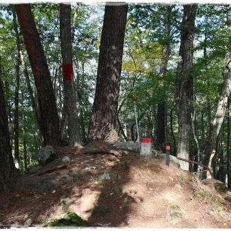 その先にもピークっぽいものがありましたが、山頂標識が分かりませんでした。

板垣山 944m。