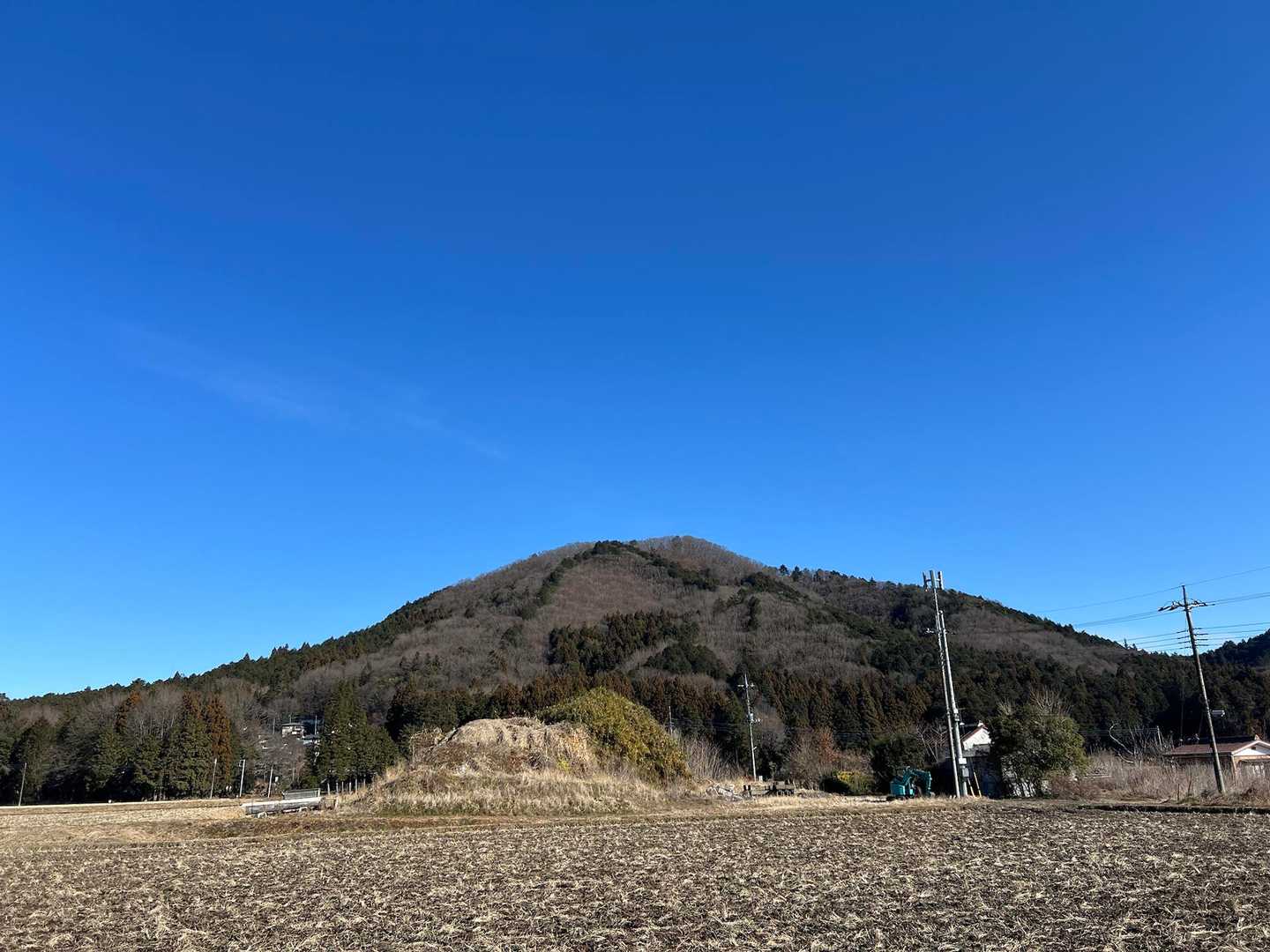 寅巳山の山容