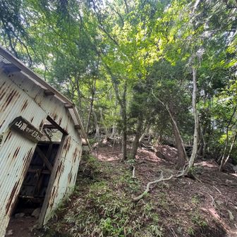 コース中盤の避難小屋を通過し
まだまだ、ひたすら登る