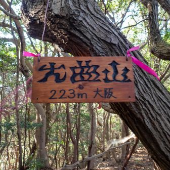 本日の個性派案内版の真打登場。

目がイカれてしまったんかと思って、何回も瞬きして見直しました。