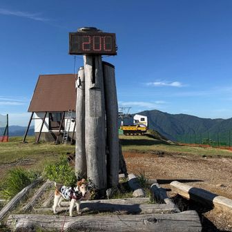 20℃・時計と切り替わる　2024年の時は有ったかな？