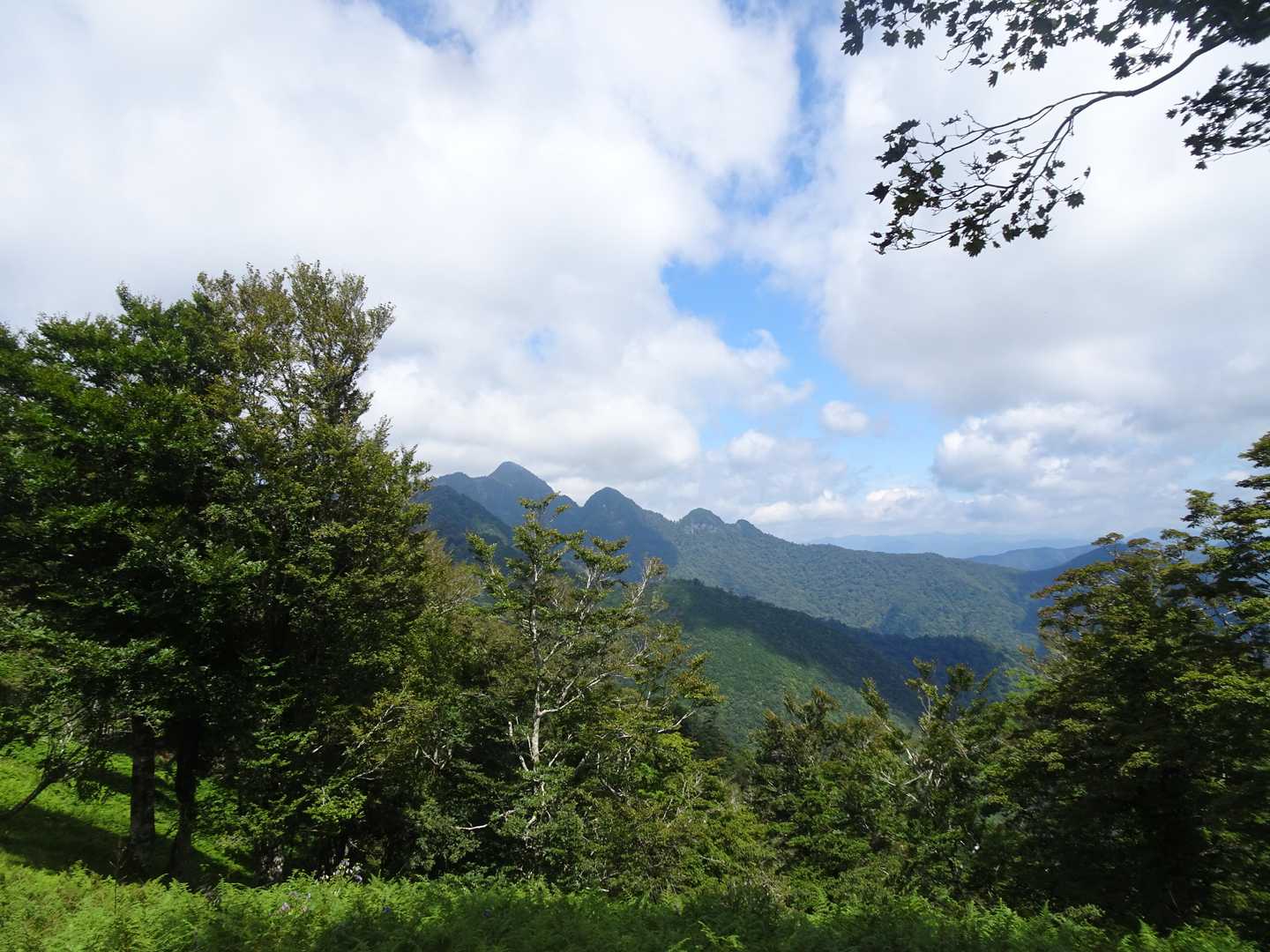 大普賢もよく見えます