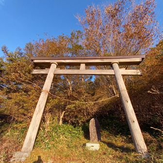 登山口の鳥居⛩️