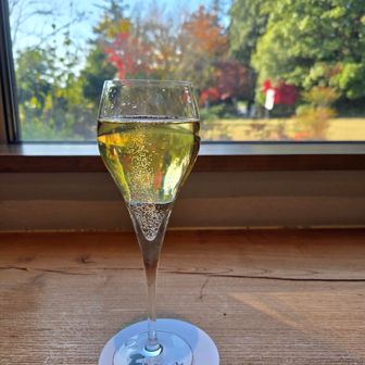 休憩お昼にします…
YAMAPは一時停止しました～