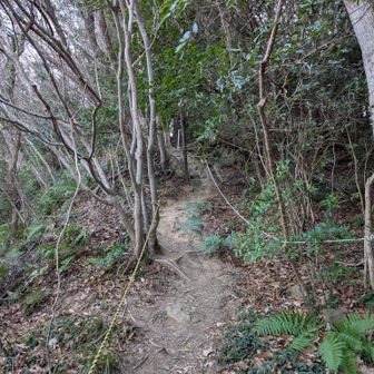 先週もそうでしたが、最初からちょっとした急登