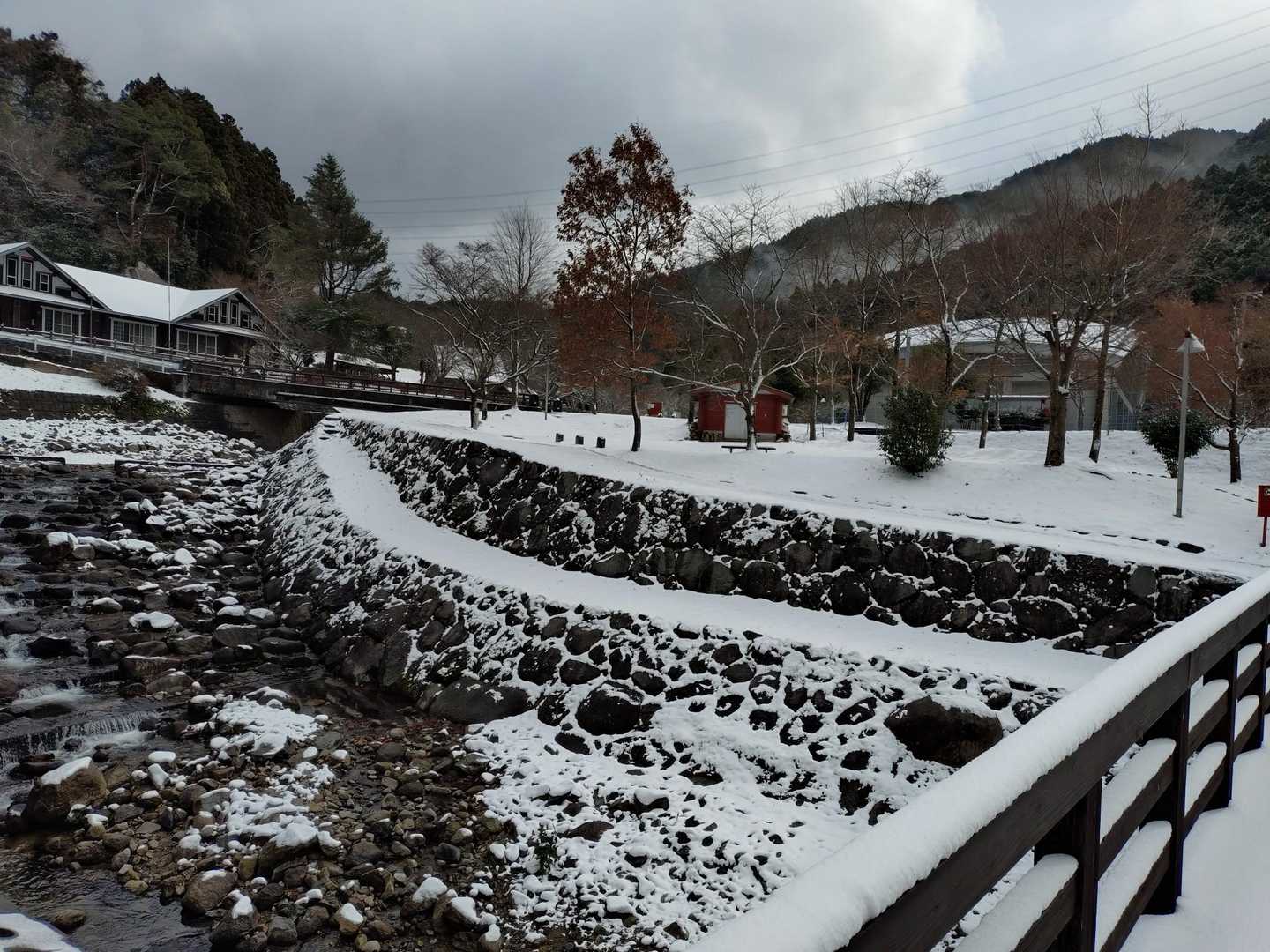 大根地山 往復コースの写真