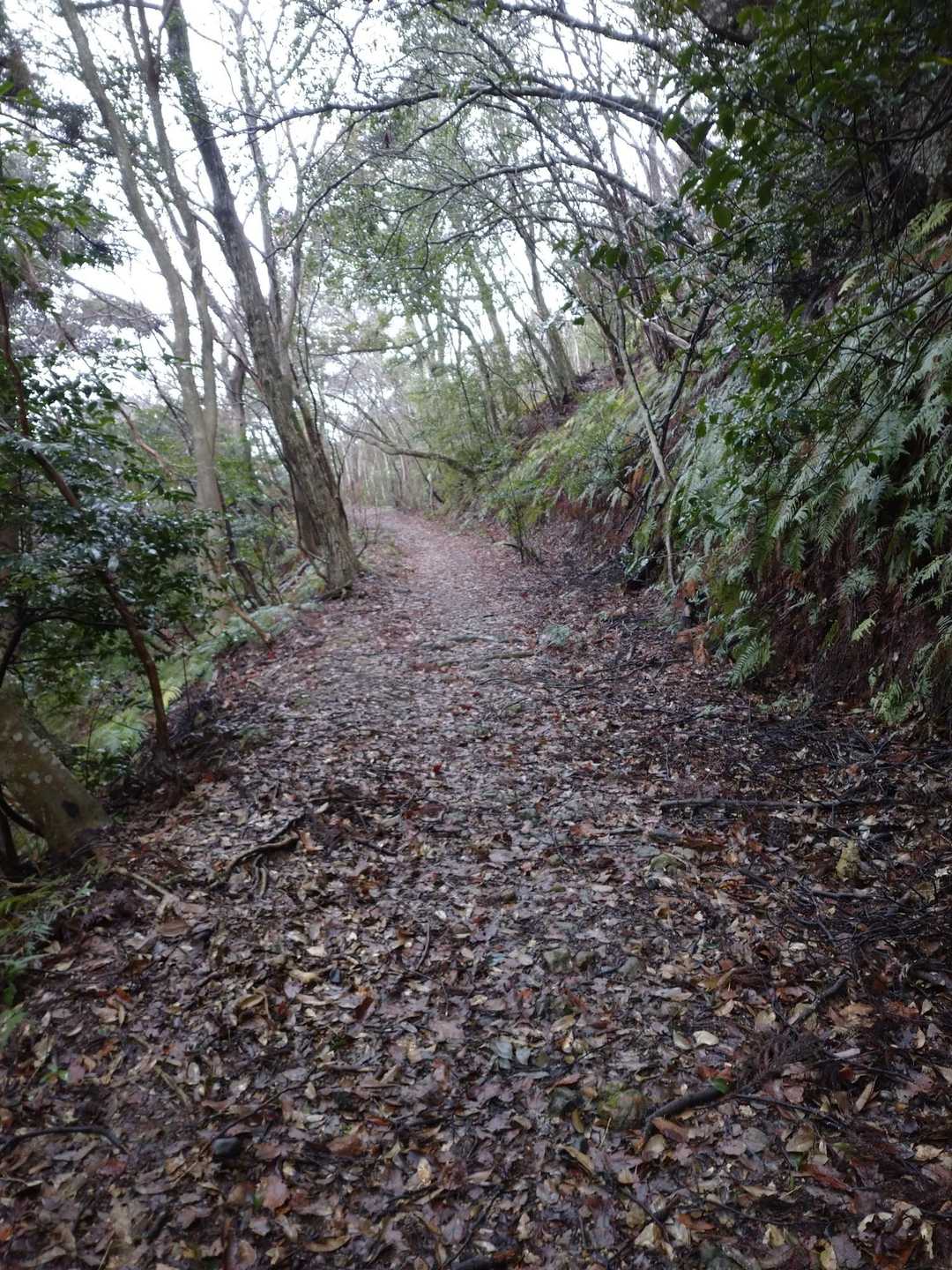 登山道