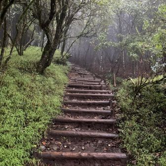 最初、雨はほとんど降ってなかったのですが、ガスで景色はずっとダメでした（想定内）☁️
