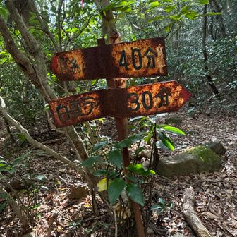 分岐　40分の方へ(左)