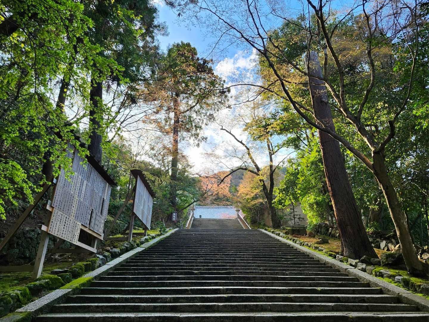 保津峡駅-保津峡登山口-トロッコ保津峡駅-新烏ヶ岳-烏ヶ岳 縦走コースの写真