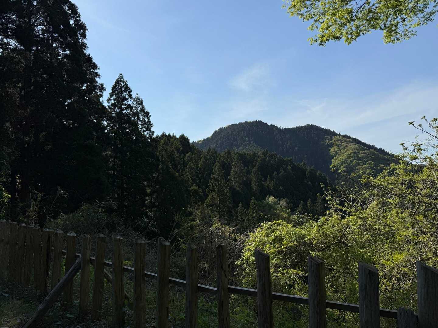 本丸跡から高岳山
