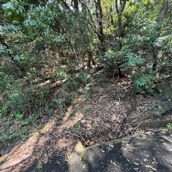 ここから取り付いて丸山へ