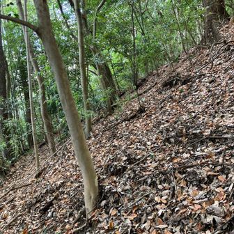 傾斜45°はありそう...