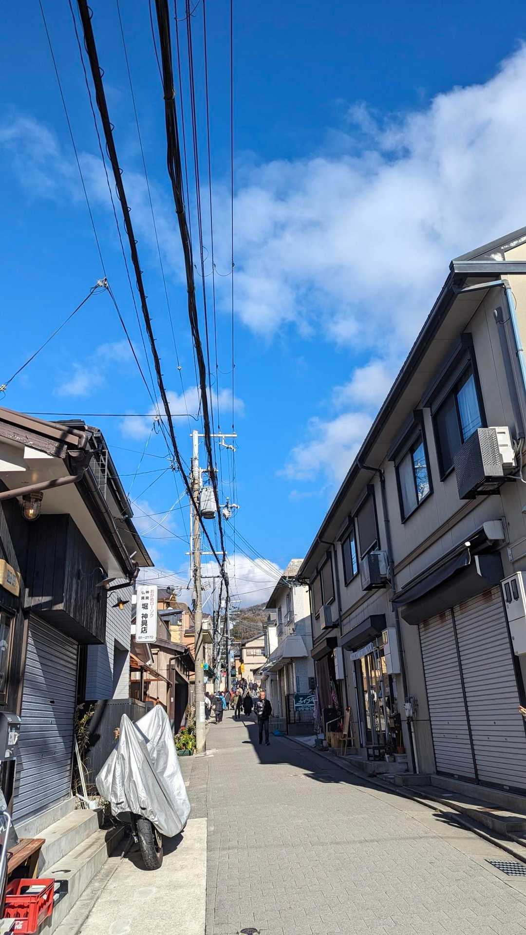 毎年、参道の雰囲気に癒やされてます☺️💞