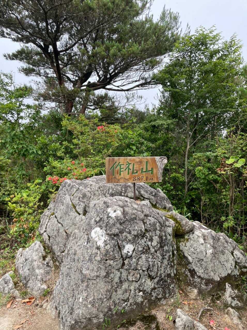 作礼山の写真