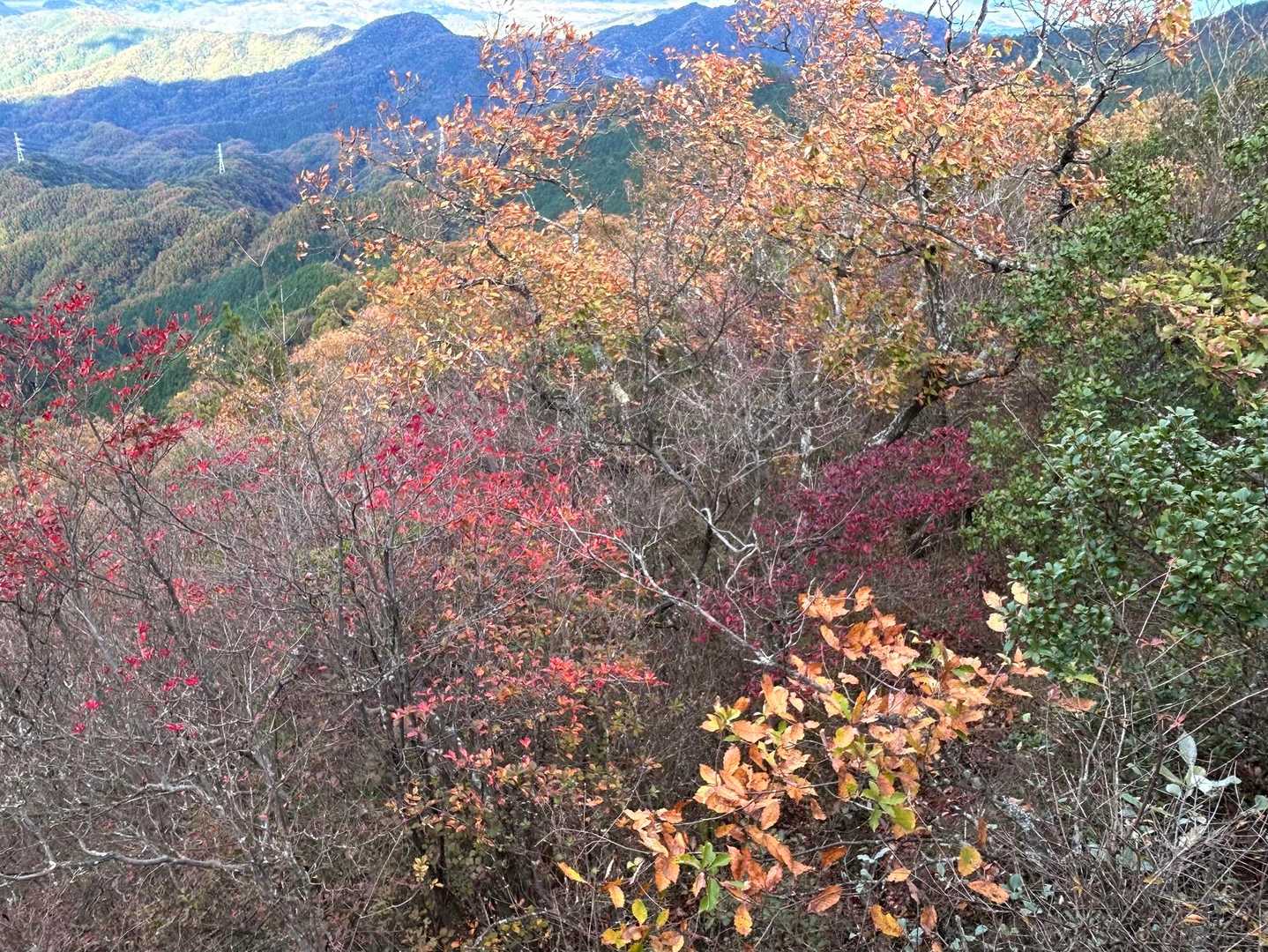矢筈山・女体山登山口-女体山 (長尾）-矢筈山登山口-矢筈 往復コースの写真
