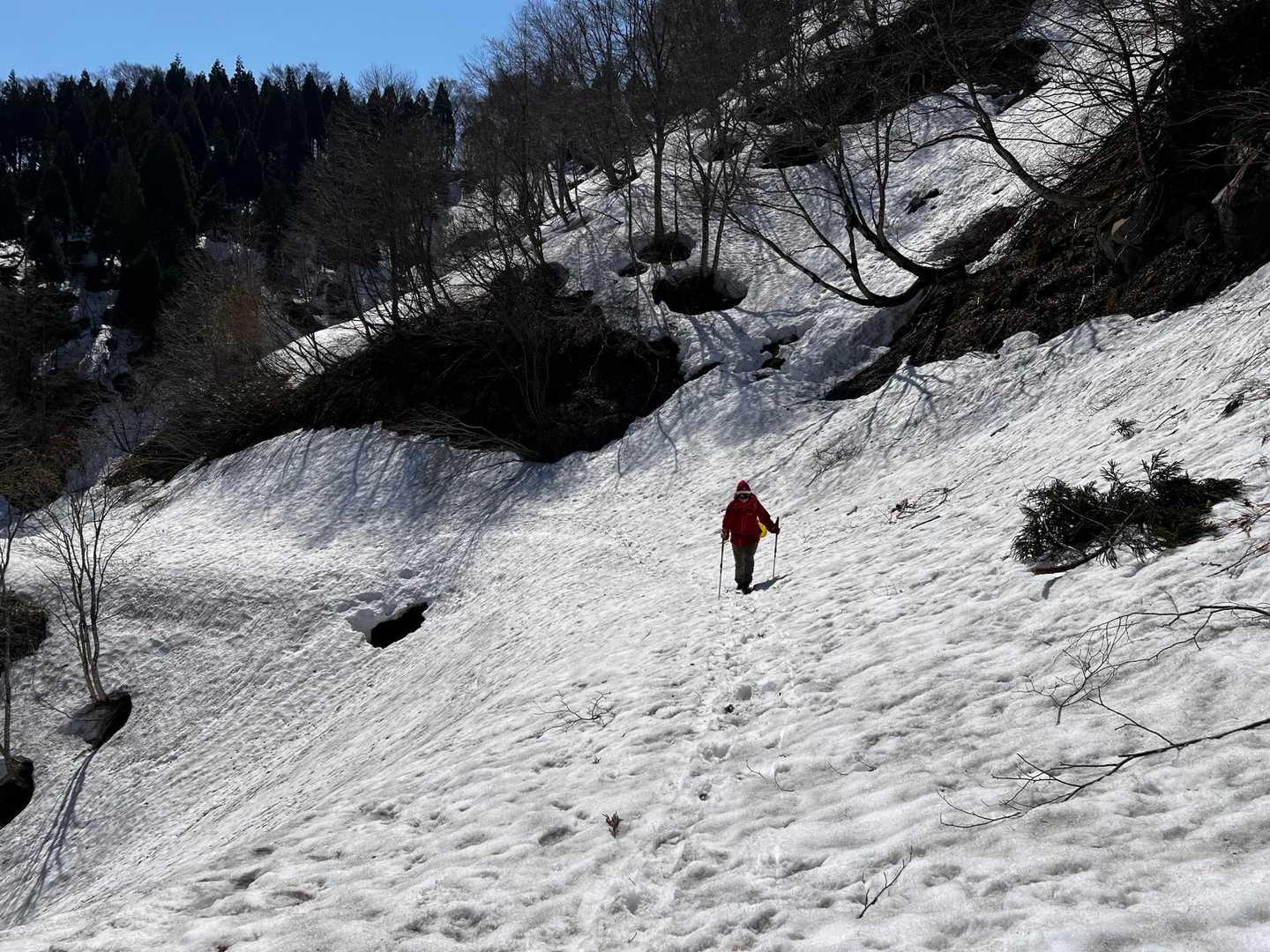 林道は山から雪崩れてくる雪の溜まり場となっていて片斜面でとても歩きにくい。
