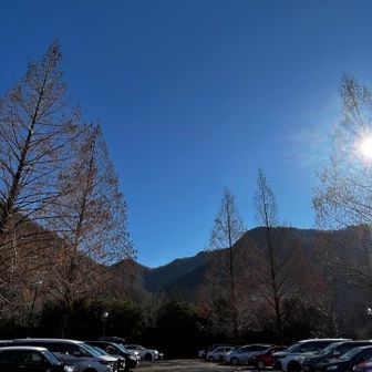 駐車場に着くと車でいっぱい🈵
素晴らしい青空🟦✨