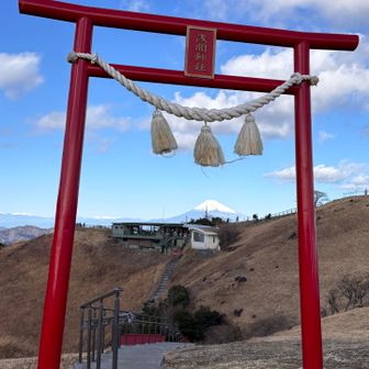 なんか縁起良さそうな構図