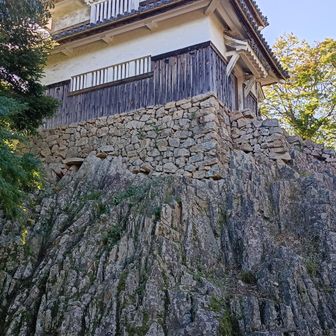 天守裏手に廻って進む。自然の岩の上にのってる2重櫓。