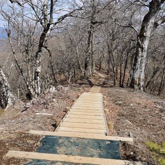 避難小屋方面の階段がきれい